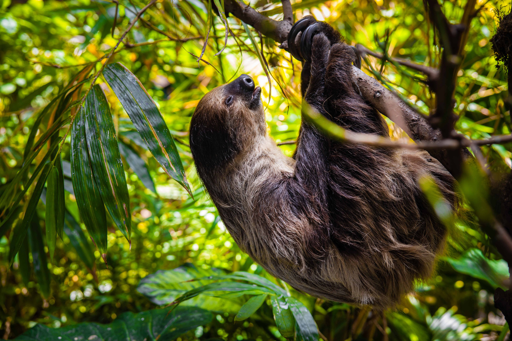 The Green Planet Dubai Admission Tickets - Photo 1 of 12